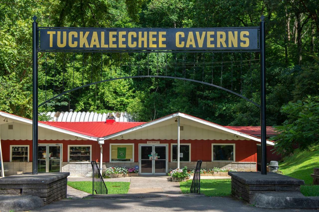Twin Cub Lodge Tuckaleechee Экстерьер фото
